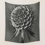 Phacelia Tanacetifolia Lacy Phacelia wonders of nature black and white photograph by Karl Blossfeldt Wall Tapestry Gallery Image 4