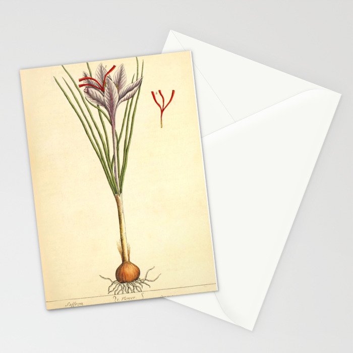 Saffron by Elizabeth Blackwell from "A Curious Herbal," 1737 (benefiting The Nature Conservancy) Stationery Card Gallery Image 2