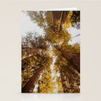 Things Are Looking Up Stationery Card Gallery Image 2