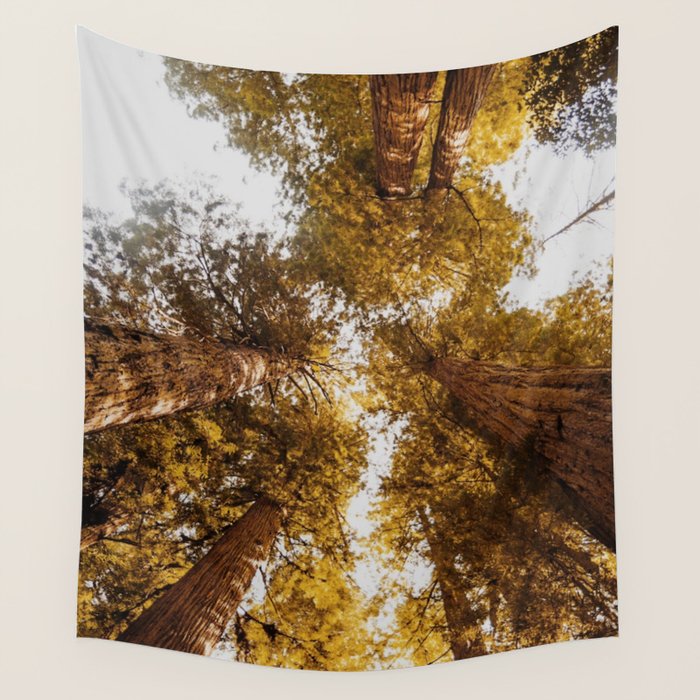Things Are Looking Up Wall Tapestry Gallery Image 4