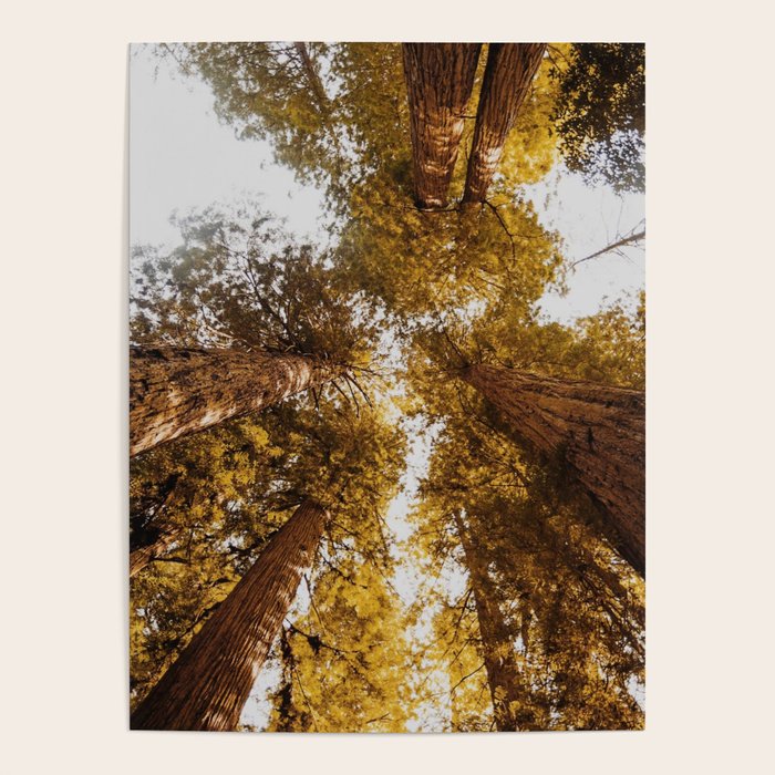 Things Are Looking Up Poster Gallery Image 4