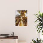 Things Are Looking Up Poster Gallery Image 2