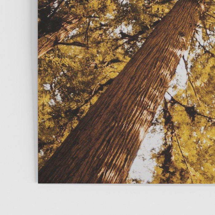 Things Are Looking Up Poster Gallery Image 3