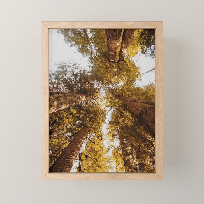 Things Are Looking Up Mini Art Print