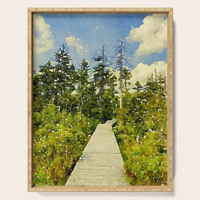 boardwalk path through the bog Serving Tray Gallery Image 1