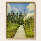 boardwalk path through the bog Serving Tray Gallery Image 1