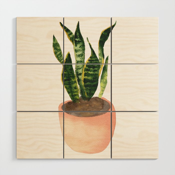 Snake plant watercolor painting Wood Wall Art Gallery Image 1