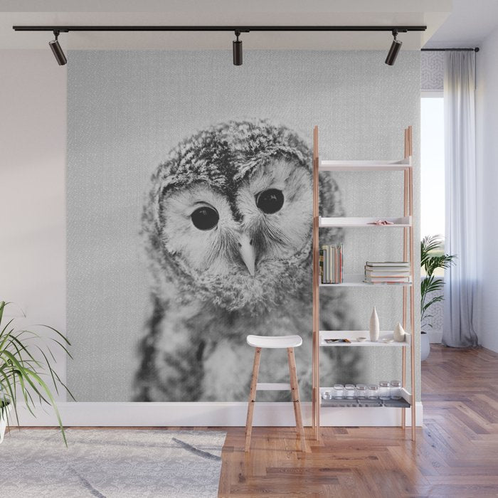 Baby Owl - Black & White Wall Mural Gallery Image 1