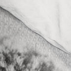 Baby Owl - Black & White Comforter Gallery Image 4