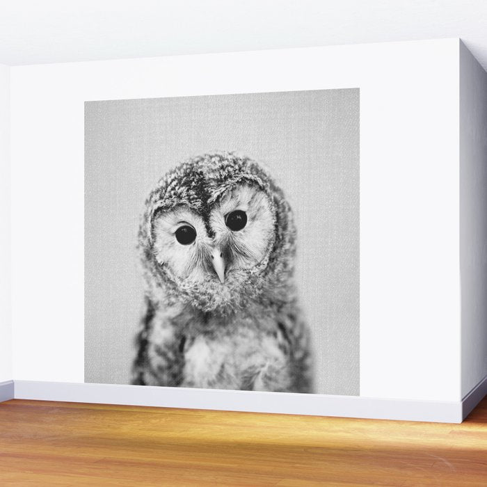 Baby Owl - Black & White Wall Mural Gallery Image 2