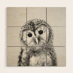 Baby Owl - Black & White Wood Wall Art Gallery Image 1
