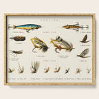 Illustrated Freshwater Fish Angling baits and fishing flies chart Serving Tray Gallery Image 1