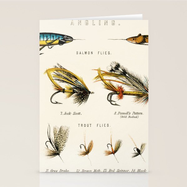 Illustrated Freshwater Fish Angling baits and fishing flies chart Stationery Card Gallery Image 1