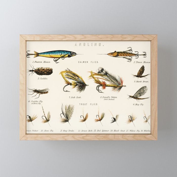 Illustrated Freshwater Fish Angling baits and fishing flies chart Mini Art Print Gallery Image 1