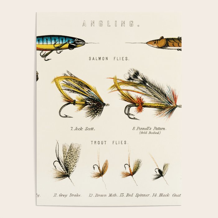 Illustrated Freshwater Fish Angling baits and fishing flies chart Poster Gallery Image 4