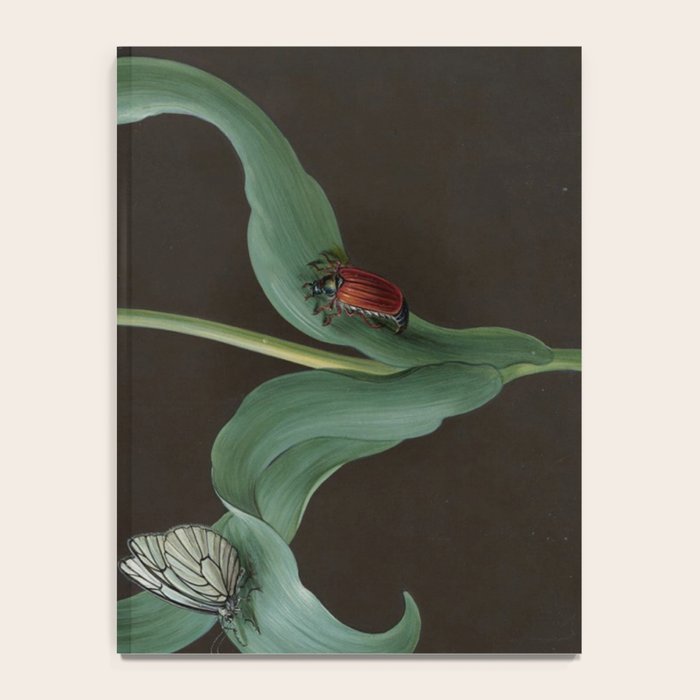 Barbara Regina Dietzsch - Tulip with butterfly and maize - before 1783 Notebook Gallery Image 4