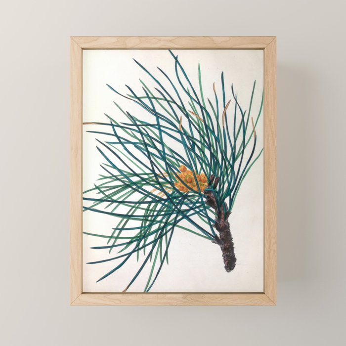 The Stone Pine, from "The Spirit of the Woods," 1849 (benefiting the Arbor Day Foundation) Mini Art Print Gallery Image 1