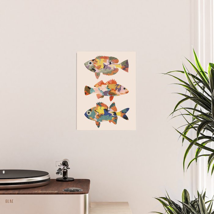 Colorful fish Poster Gallery Image 2