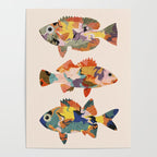 Colorful fish Poster Gallery Image 4