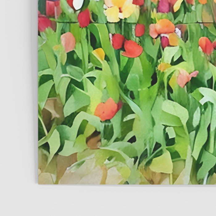 Colorful tulips field Poster Gallery Image 3