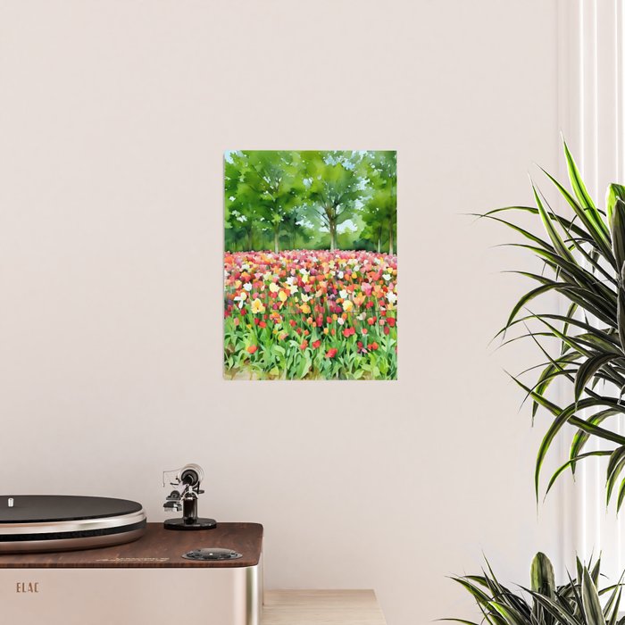 Colorful tulips field Poster Gallery Image 2