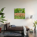 Colorful tulips field Wood Wall Art Gallery Image 2