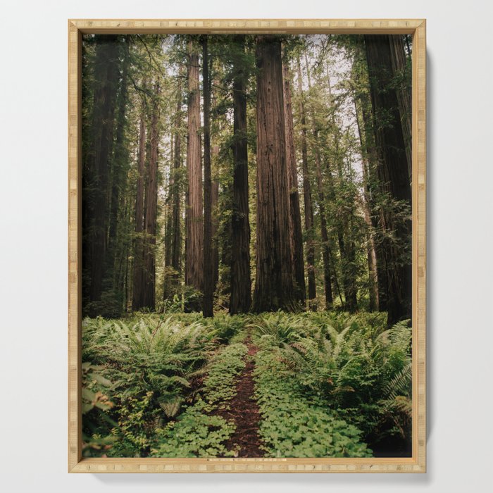 Redwood Trail Serving Tray Gallery Image 1