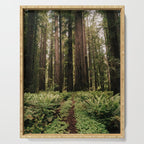Redwood Trail Serving Tray Gallery Image 1