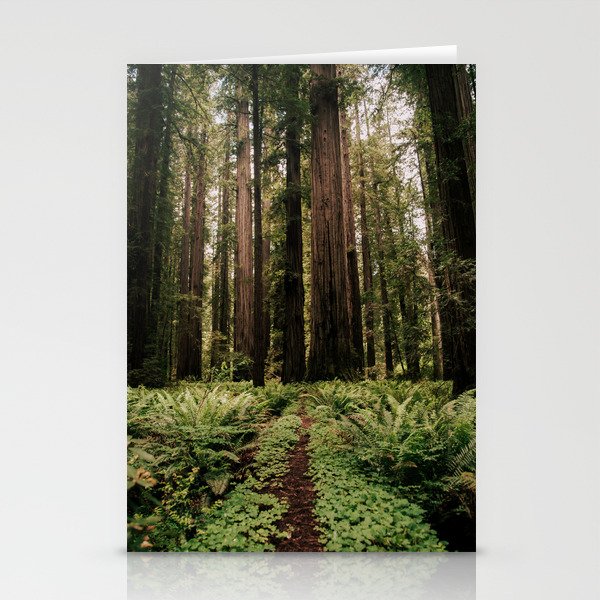 Redwood Trail Stationery Card Gallery Image 2