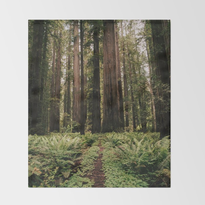 Redwood Trail Throw Blanket Gallery Image 2