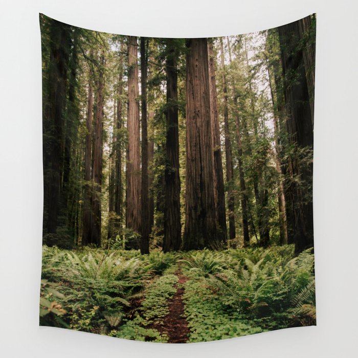Redwood Trail Wall Tapestry Gallery Image 1