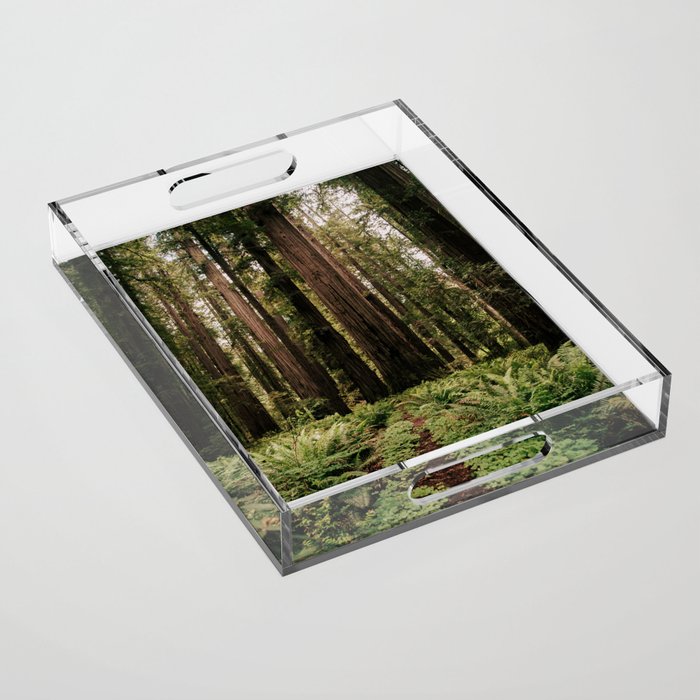 Redwood Trail Acrylic Tray Gallery Image 1