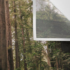 Redwood Trail Wall Tapestry Gallery Image 3
