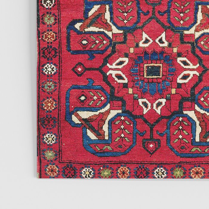 Afshar  Kerman South Persian Rug Poster Gallery Image 3
