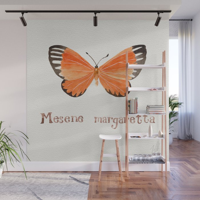 Butterfly - Mesene margaretta Wall Mural Gallery Image 1