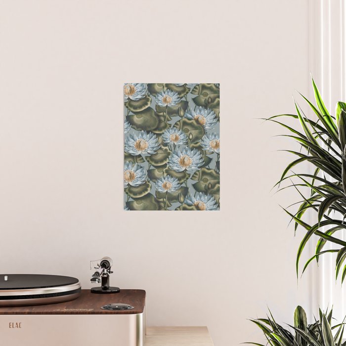 Water Lily (NYMPHAEA) Poster Gallery Image 2