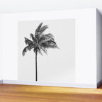 Maui Palm Tree - Black and White Photography Wall Mural Gallery Image 2