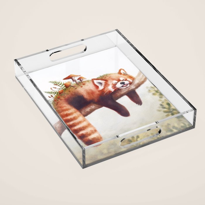 Sleepy Red Panda Acrylic Tray Gallery Image 1