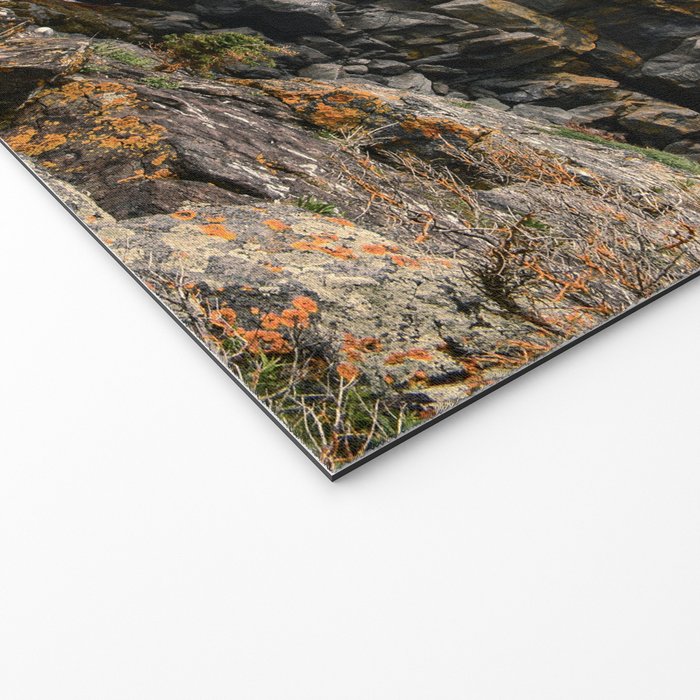 She Was Drawn to Wild Places Welcome Mat Gallery Image 2