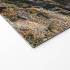 She Was Drawn to Wild Places Welcome Mat Gallery Image 2