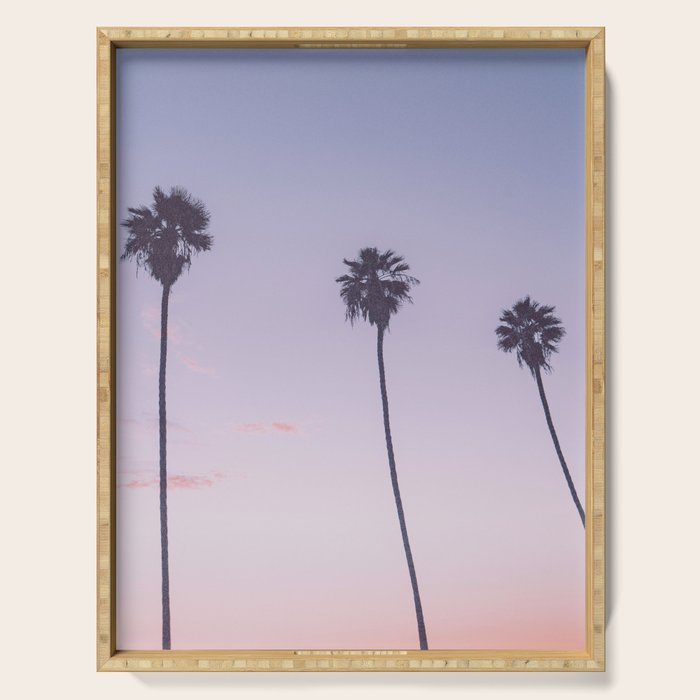 palm trees sunset iv x ii - san diego, california Serving Tray Gallery Image 1