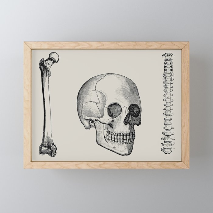 Illustrated and priced catalogue of superior surgical instruments Skull Sapine Ink Illustration Mini Art Print Gallery Image 1