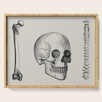 Illustrated and priced catalogue of superior surgical instruments Skull Sapine Ink Illustration Serving Tray Gallery Image 1