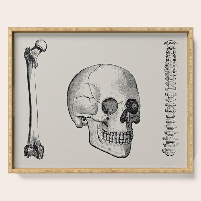 Illustrated and priced catalogue of superior surgical instruments Skull Sapine Ink Illustration Serving Tray Gallery Image 1