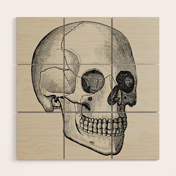 Illustrated and priced catalogue of superior surgical instruments Skull Sapine Ink Illustration Wood Wall Art Gallery Image 1