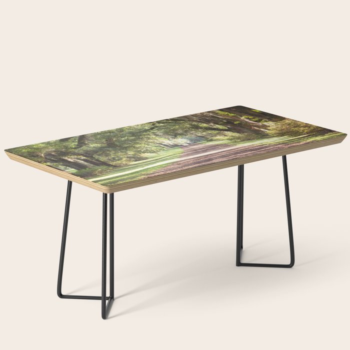 Louisiana Landscape Spanish Moss and Live Oaks Coffee Table Gallery Image 1