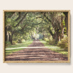 Louisiana Landscape Spanish Moss and Live Oaks Serving Tray Gallery Image 1