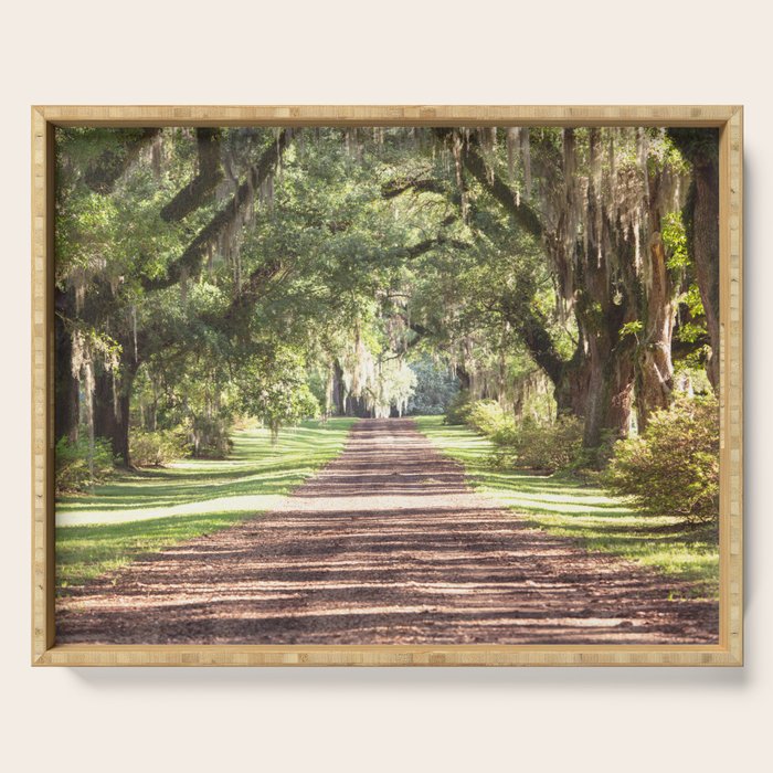 Louisiana Landscape Spanish Moss and Live Oaks Serving Tray Gallery Image 1
