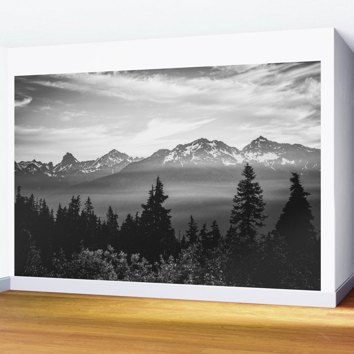 Morning in the Mountains Black and White Wall Mural Gallery Image 2