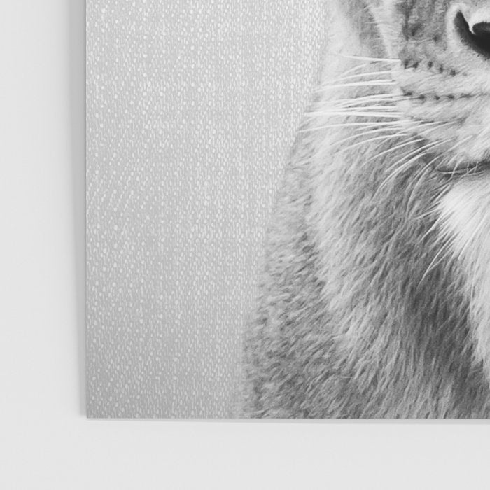 Lioness - Black & White Poster Gallery Image 3